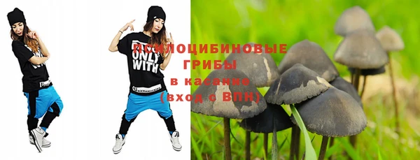 соль ск Тобольск