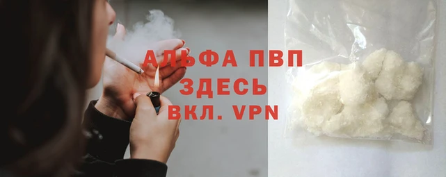 кокс Белокуриха